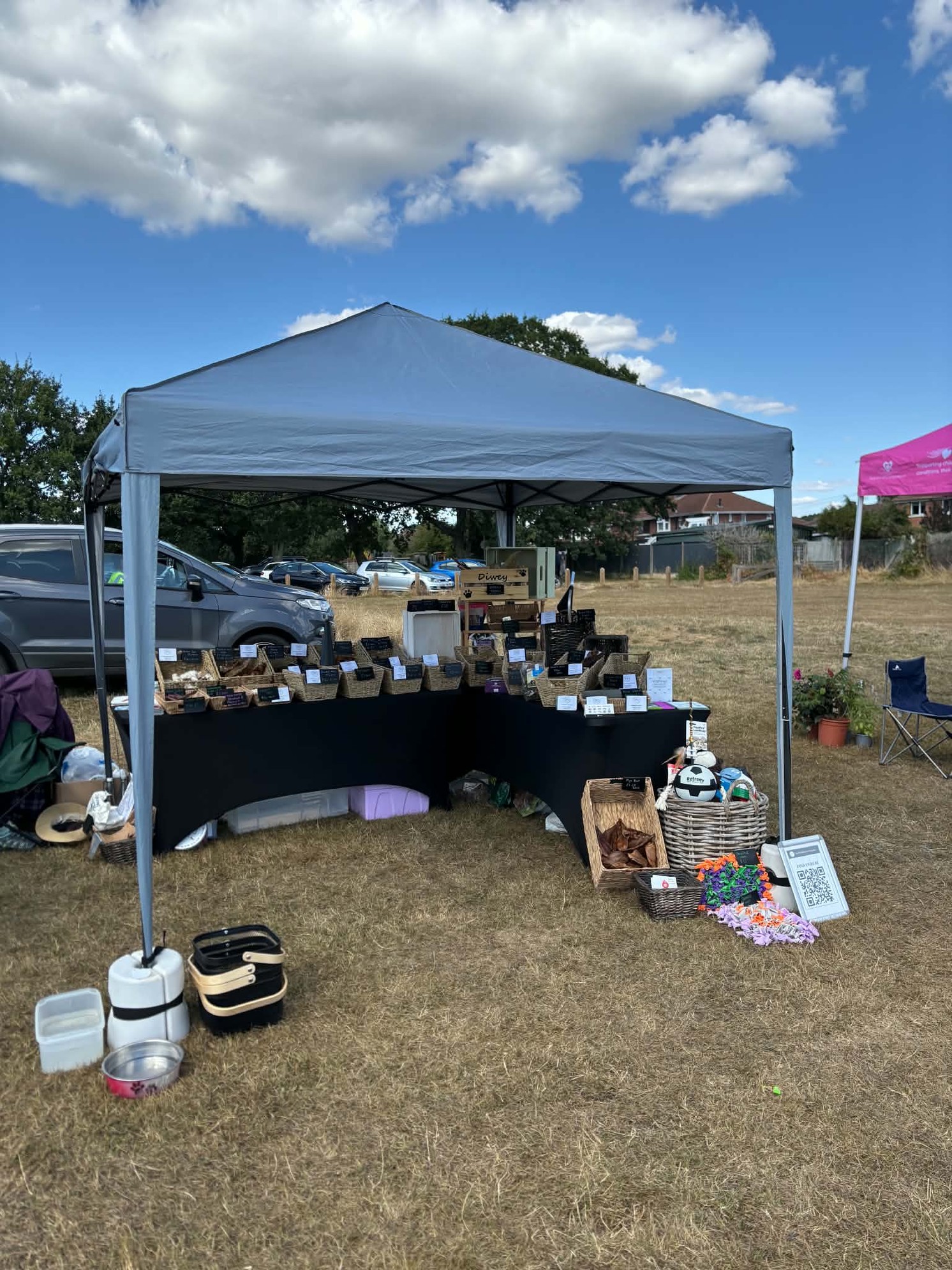 The Reliable Pet Company stall at an outdoor community market