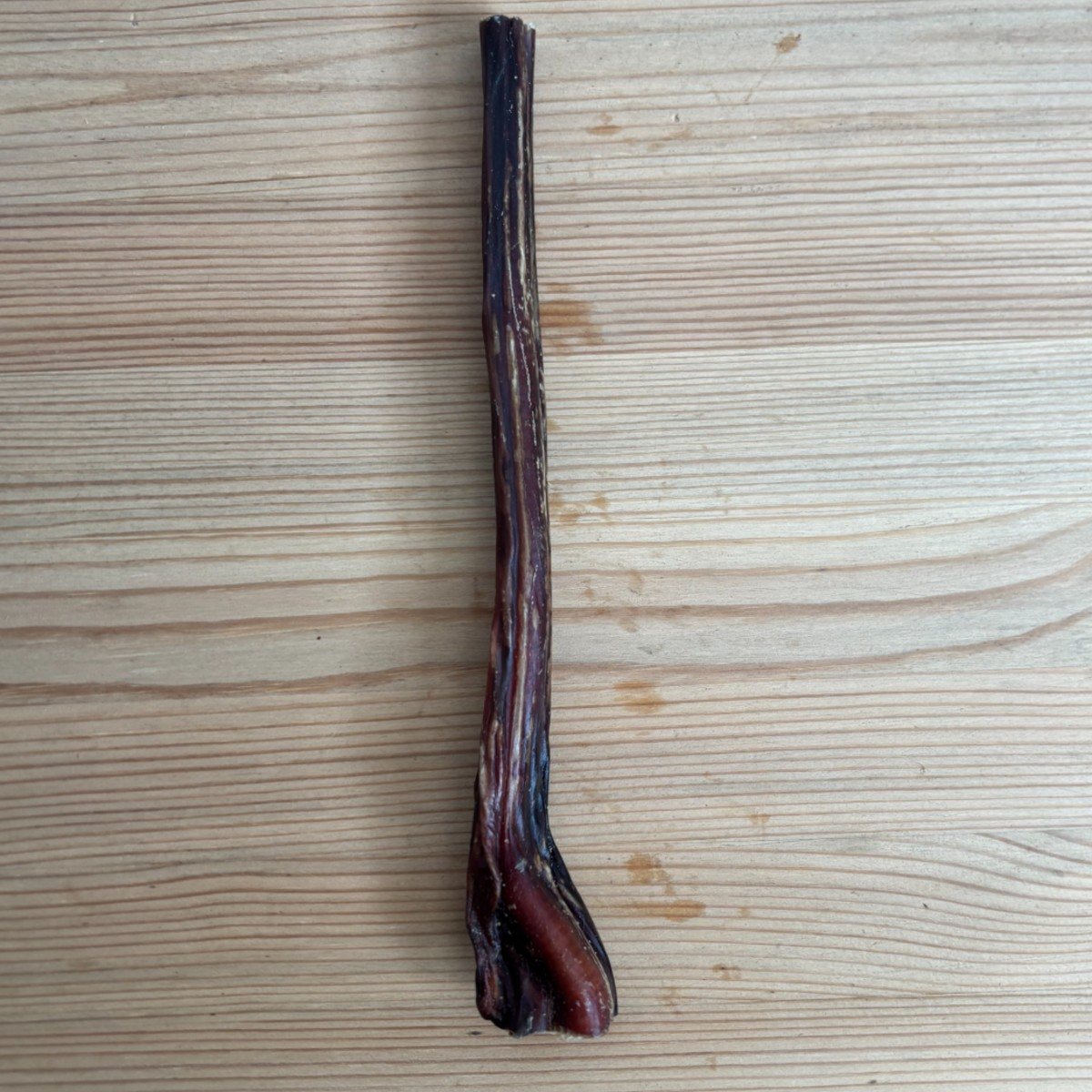 Bull Pizzle 24 cm