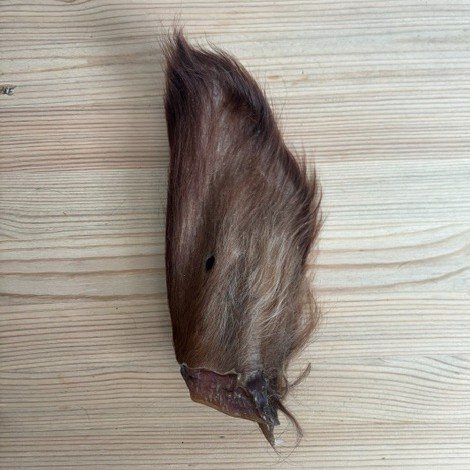 Cows ears - Hairy view 6
