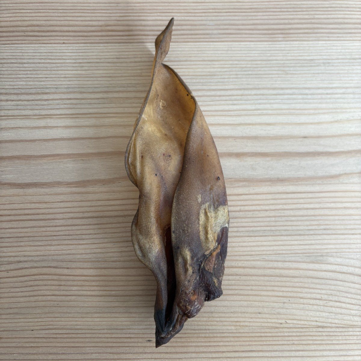 Buffalo  Ears with Meat - Small