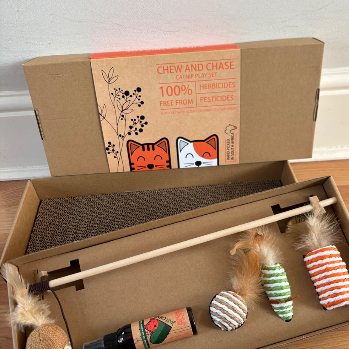 Catnip play set - 5 in 1 toy