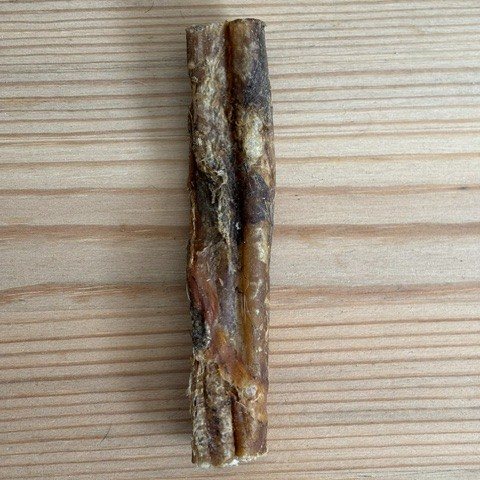 Bull Pizzle 12 cm