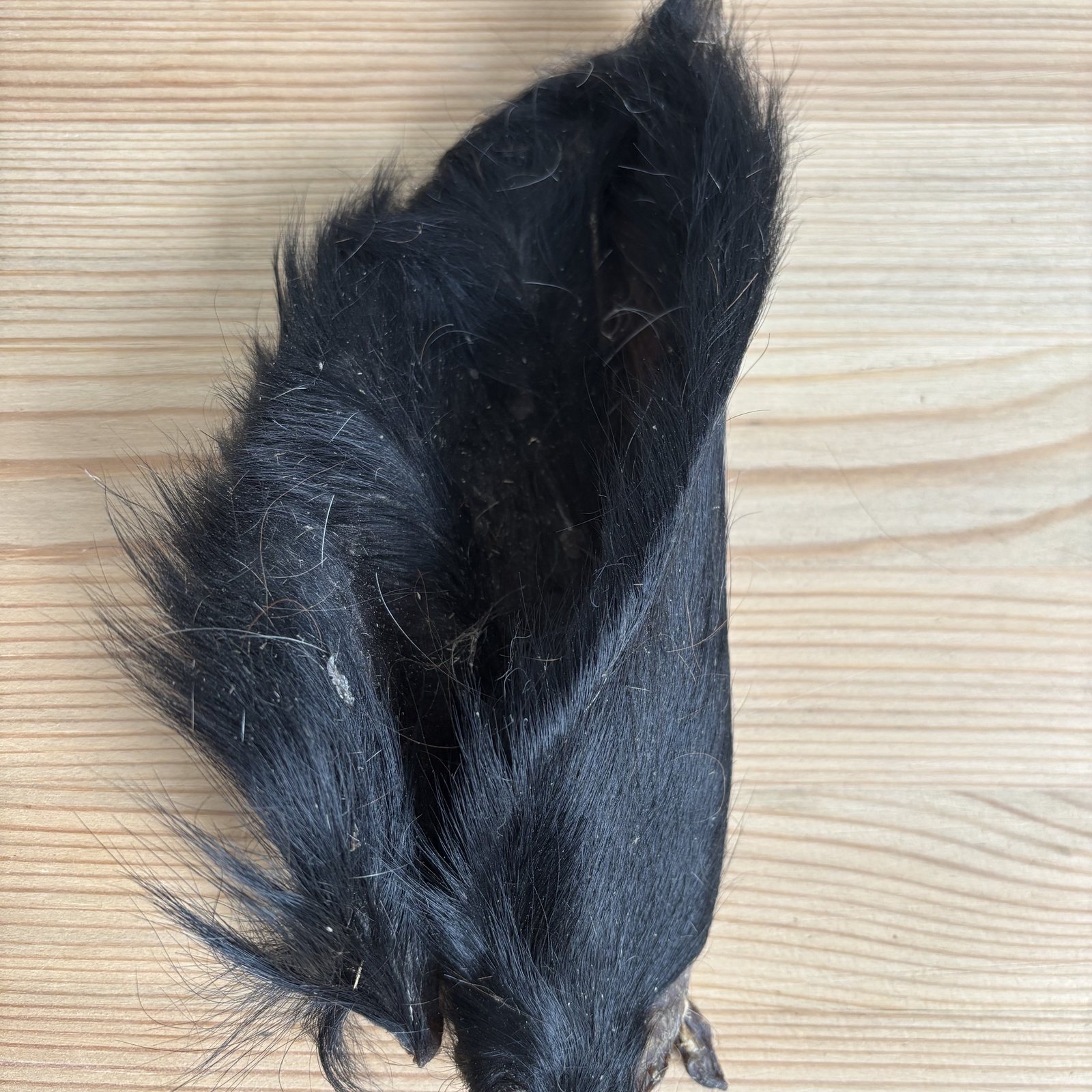 Cows ears - Hairy