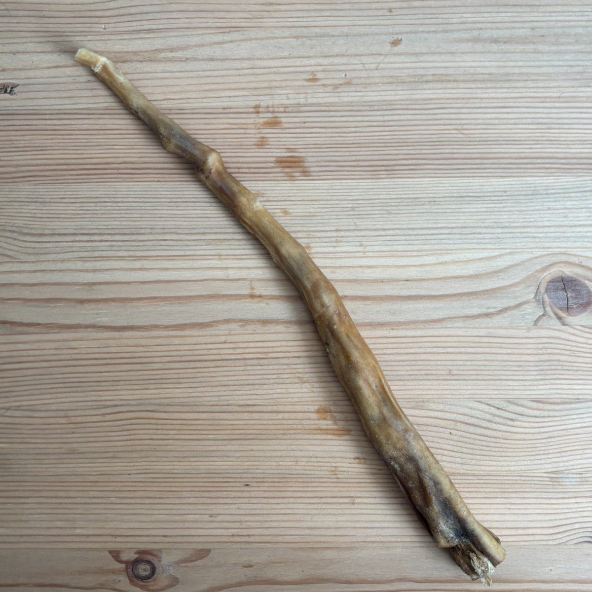Buffalo Tail view 2