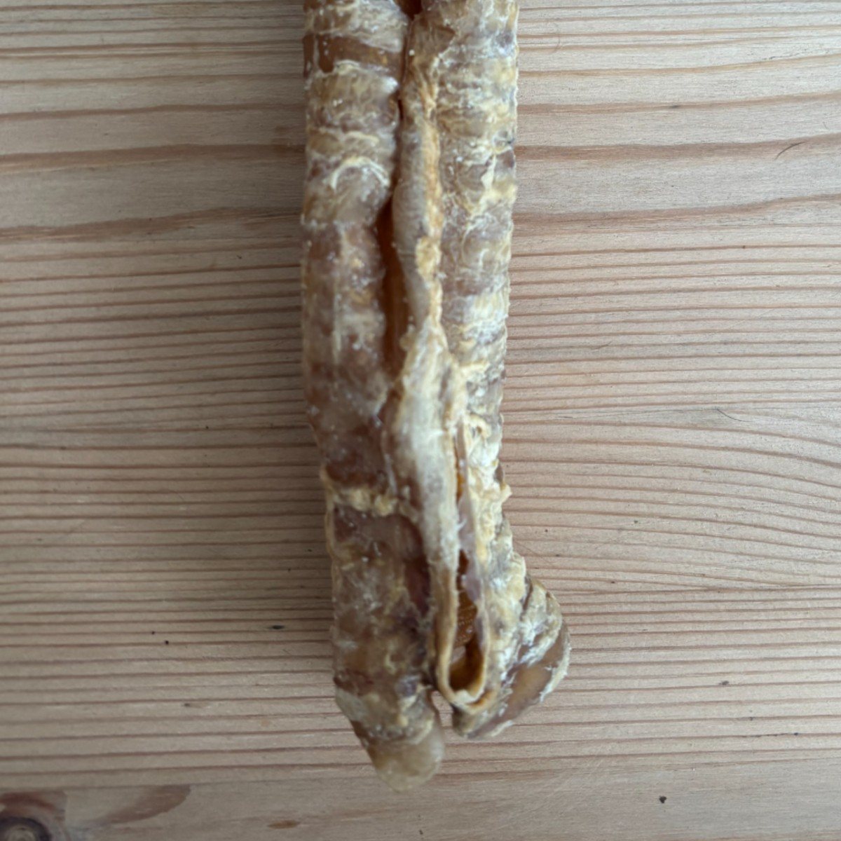 Beef Trachea - 24 cm view 2