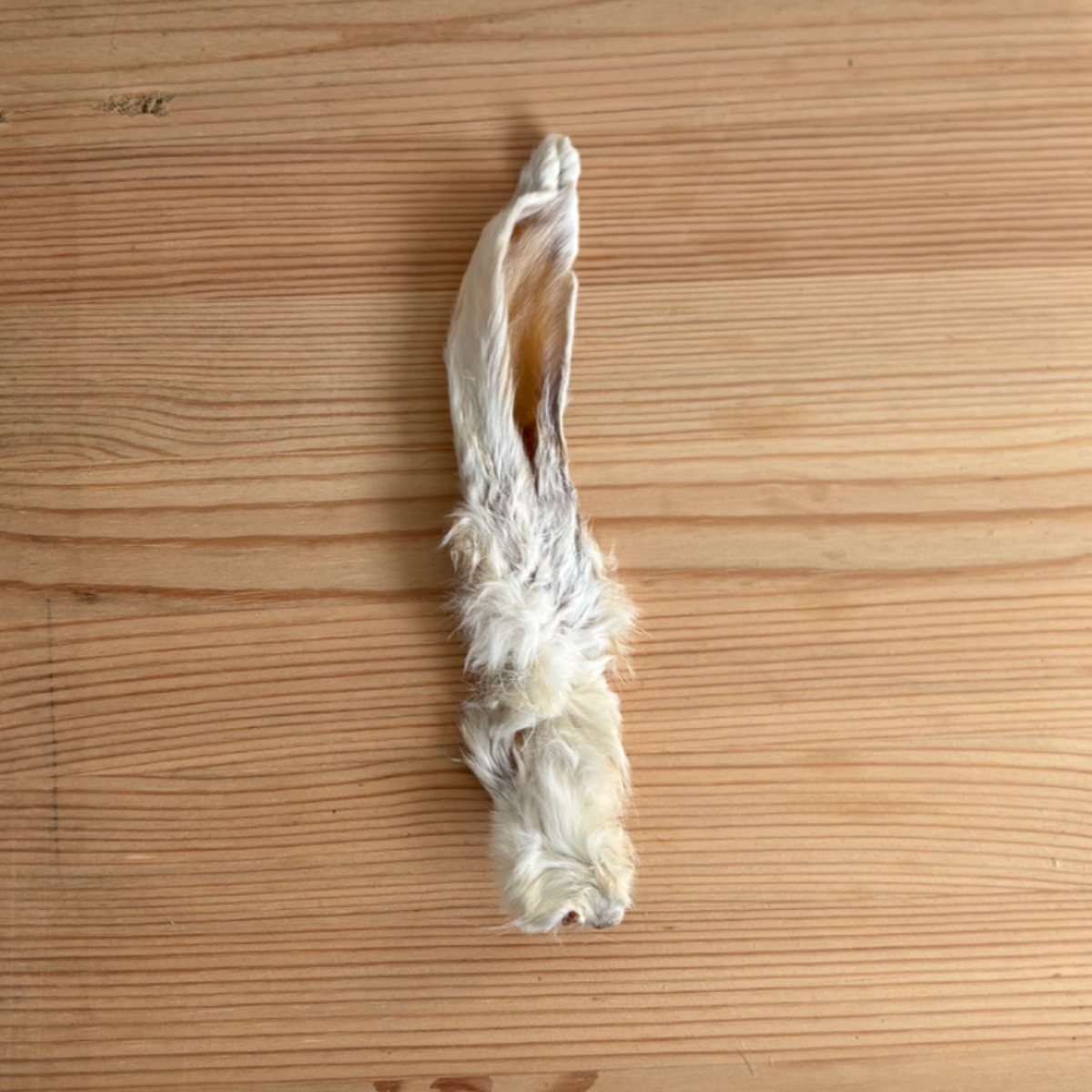 Rabbits ears with fur