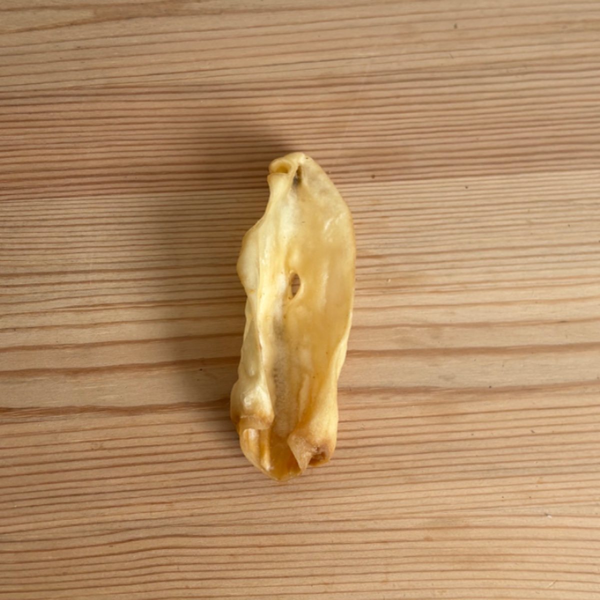 Goat ear