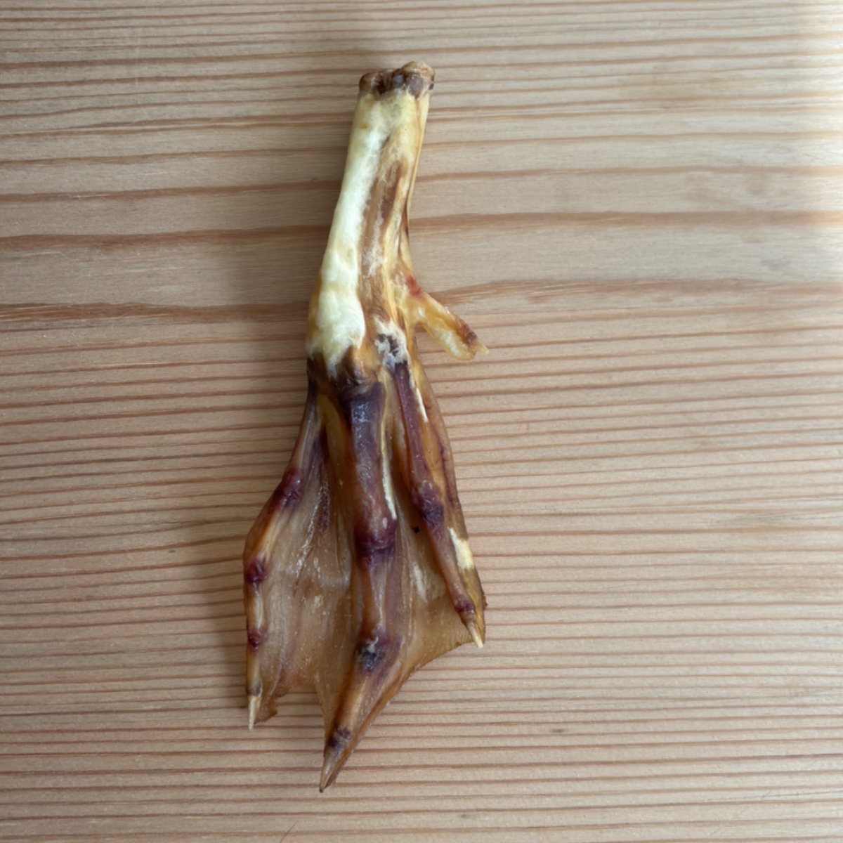 Duck feet