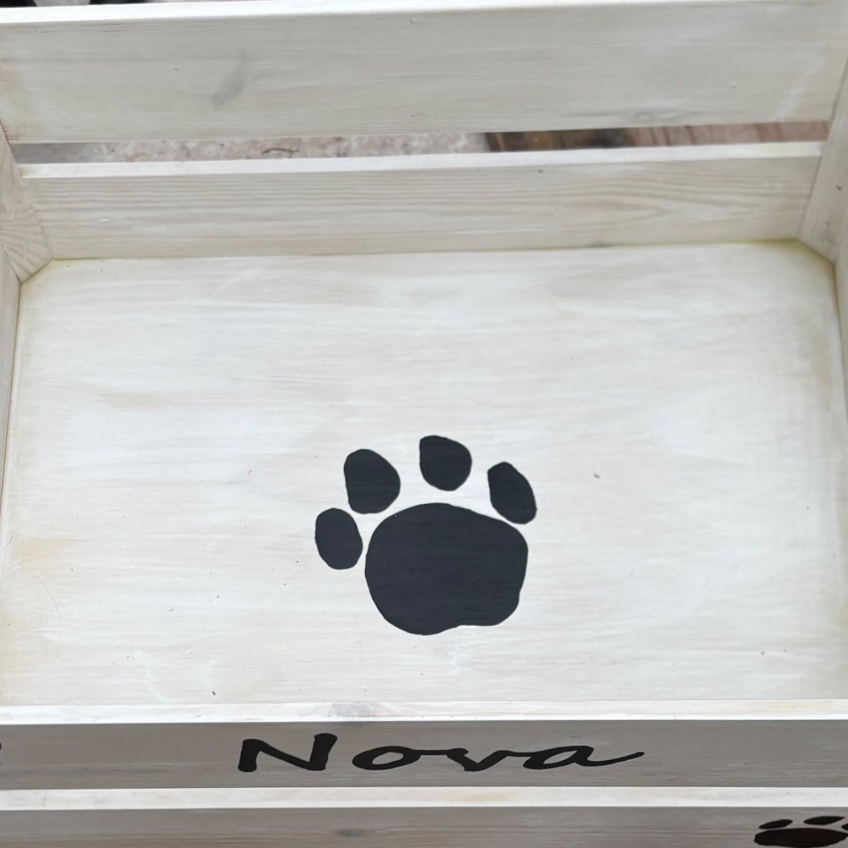 Birthday Box - Small Dog view 4