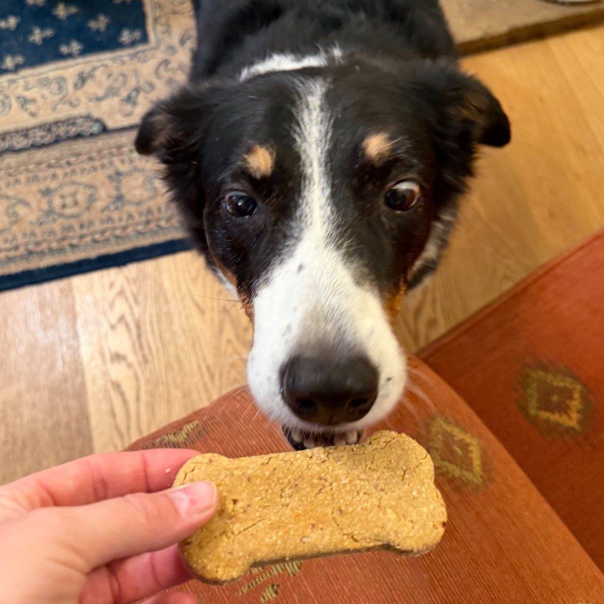 Banana & Peanut Butter Biscuits