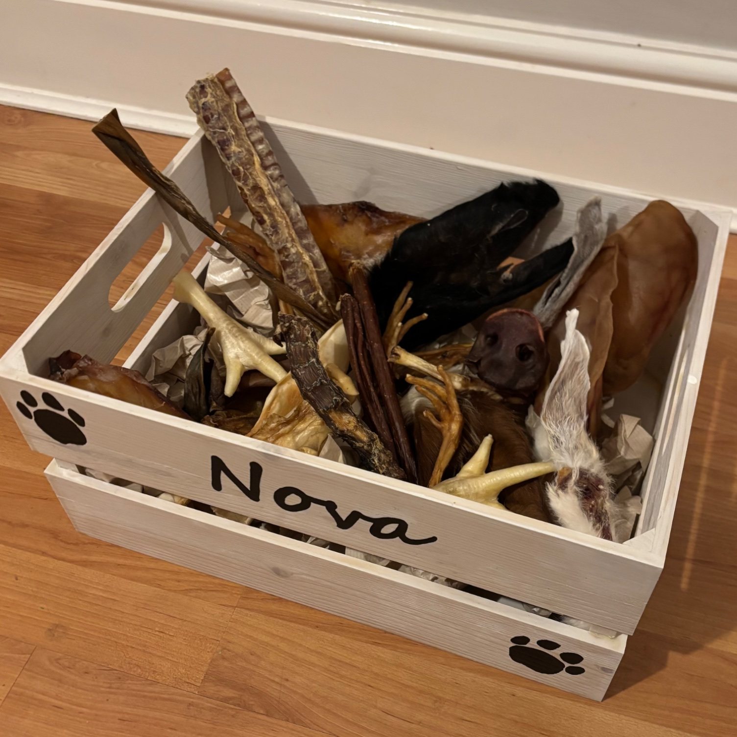 Birthday Box - Small Dog view 3