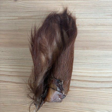 Cows ears - Hairy view 5