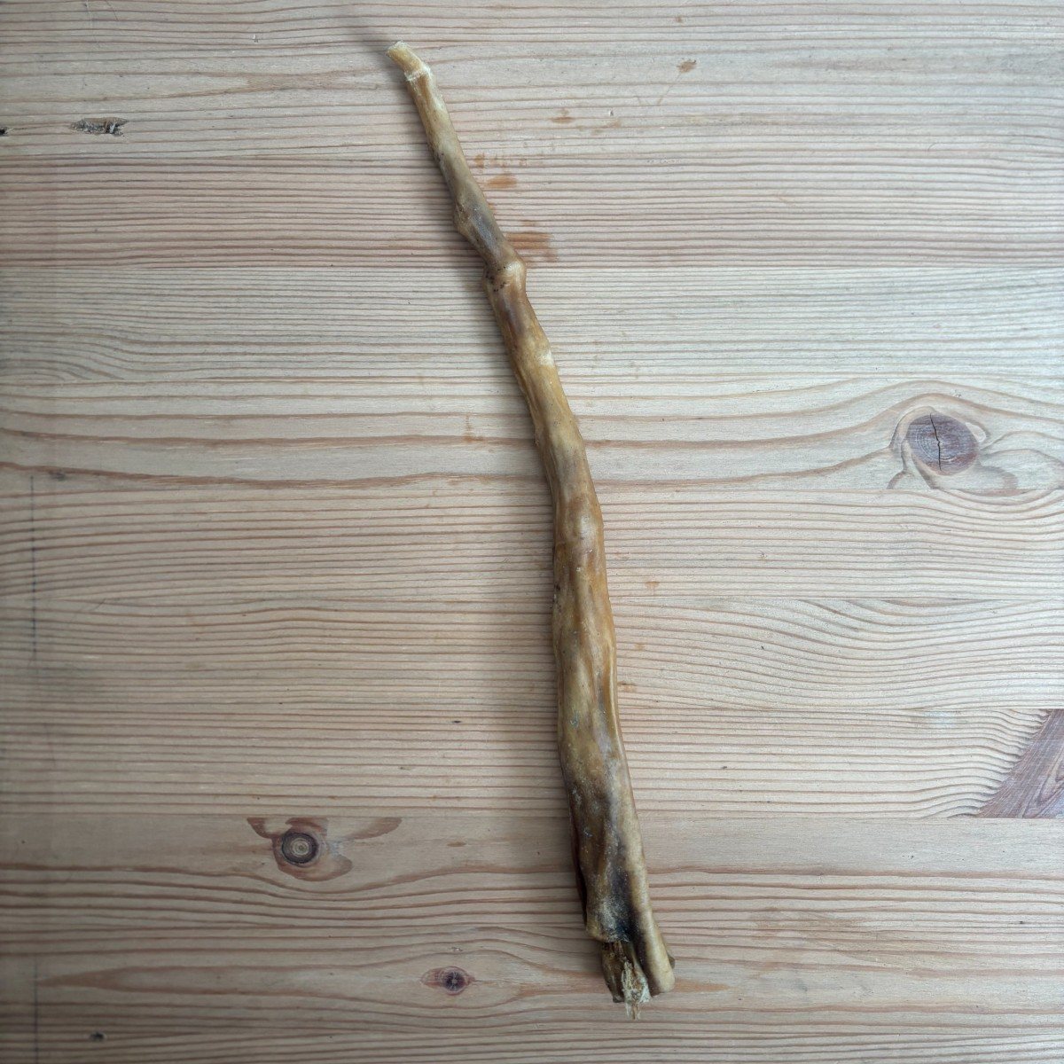 Buffalo Tail